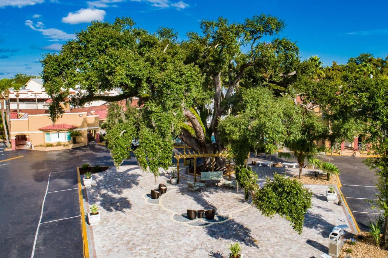 Villa 1565 - Saint Augustine Dış mekan fotoğraf